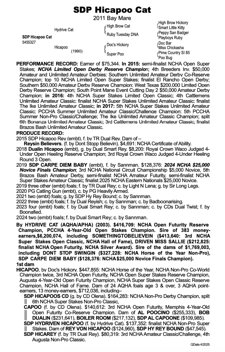 Screenshot 2025-05-06 at 8.23